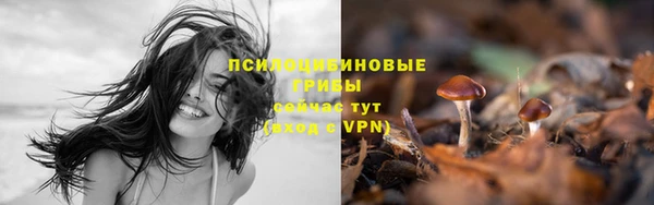 гидра Зерноград