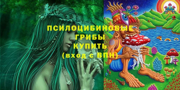 гидра Зерноград