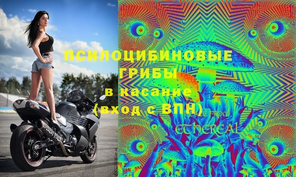 гидропоника Зеленодольск